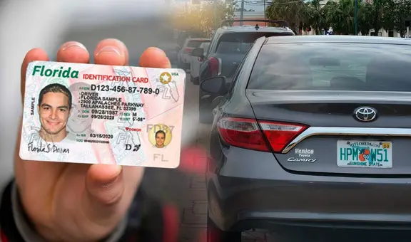 Florida: nueva norma del FLSHMV obligará a ciertos conductores a renovar la licencia de conducir cada año