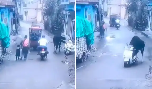 Cámara de seguridad graba momento exacto en que toro "roba" una moto y termina chocando