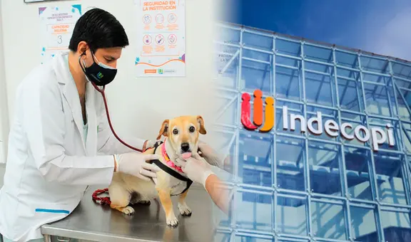 Indecopi multa con más de S/11.000 a veterinaria que atendía con personal sin experiencia, guiados solo por instrucciones telefónicas