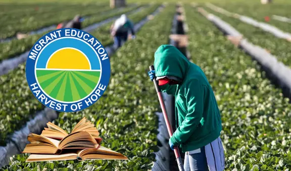 Texas ofrece apoyo educativo a hijos de inmigrantes: conoce cómo acceder a este programa y qué requisitos necesitas