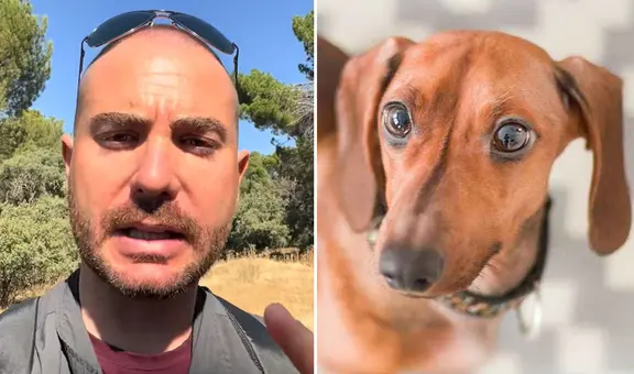 Adiestrador revela por qué saludar a tu perro al llegar a casa podría ser perjudicial: “Que no te extrañe un infarto”