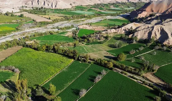 Estos son los más de 20 proyectos de irrigación que se promoverán en Perú: inversión total asciende a más de US$24 mil millones