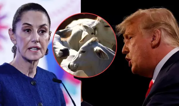 Claudia Sheinbaum critica el cierre de la frontera de EE. UU. a la exportación de ganado por gusano barrenador: “Injusta”