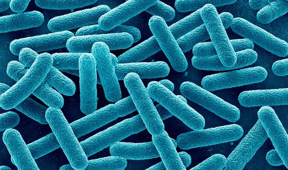 ¡Cuidado, California y Nevada! Peligrosa bacteria fue encontrada en productos de empresa de alimentos listos para comer