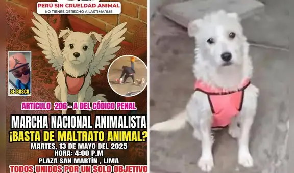 Marcha contra el maltrato animal: convocan movilización en Lima tras asesinato de perrita en Trujillo, el responsable sigue prófugo