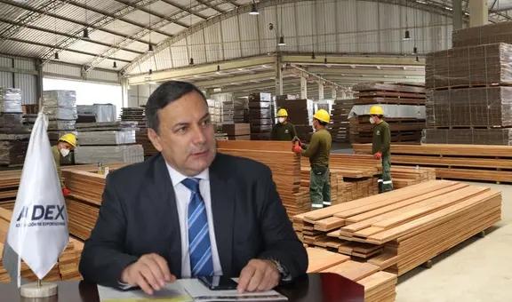 Exportaciones forestales peruanas cayeron en 2024 a su nivel más bajo desde pandemia