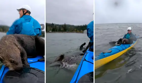 Hombre paseaba en kayak sin sospechar que haría un simpático amigo: 'No tendrás un pedacito de queso'