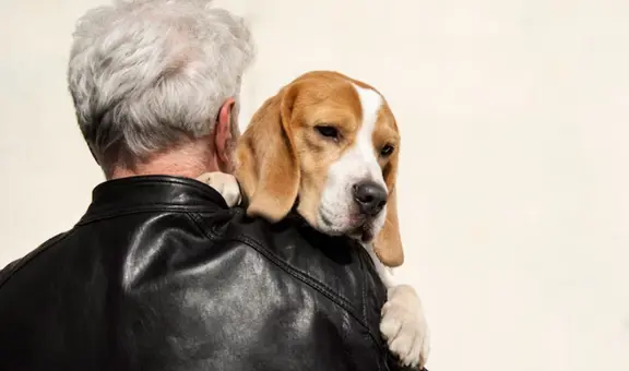 ¿Cuándo un perro ha llegado a la vejez? Descubre los factores que determinan el inicio de la longevidad