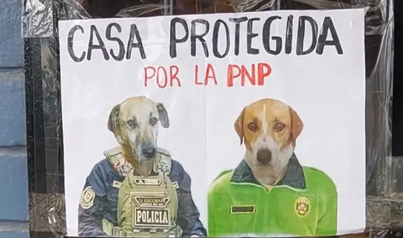 Tienda coloca divertido cartel con la fotografía de sus perritos y son furor en redes: “Protegida por la PNP”