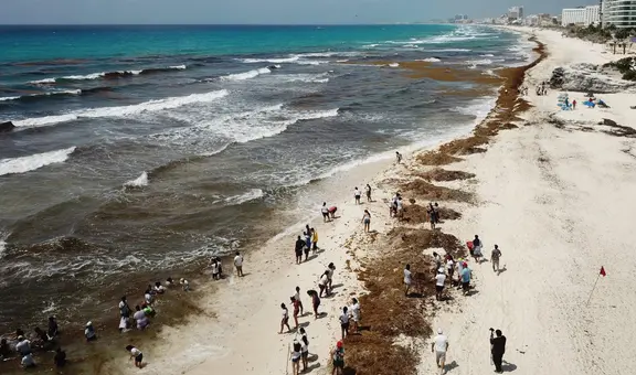 Playas de Florida y el Caribe en alerta por la llegada de 31 millones de toneladas de algas tóxicas