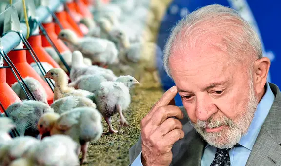 Brasil suspende venta de pollo en un país de Sudamérica, China y la Unión Europea por caso de gripe aviar