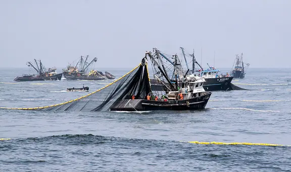 ONG Oceana recibe ataques por oponerse a pesca industrial en Paracas y Nasca