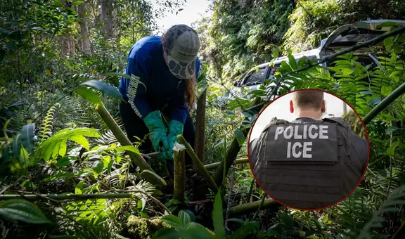 Más redadas del ICE: esta es la inesperada isla de EEUU donde se arrestan y deportan inmigrantes latinos