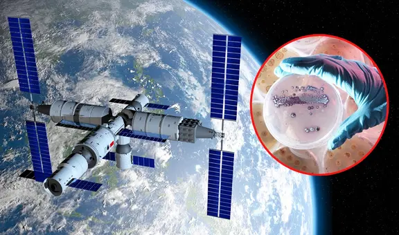 Científicos chinos descubren bacteria no antes vista en la Tierra dentro de la estación espacial Tiangong