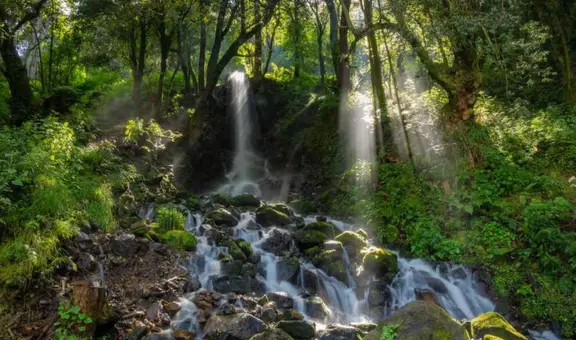 ¿Vives en CDMX? Descubre la cascada más cercana que pocos conocen y puedes visitar en metro
