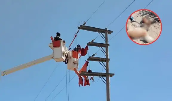 Rebaño de ovejas muere electrocutado tras ser impactado por cable de media tensión en Piura
