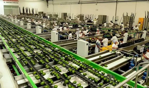 Ley Chlimper 2.0: Congreso busca ahora que agroexportadoras paguen la mitad del impuesto a la renta de manera permanente