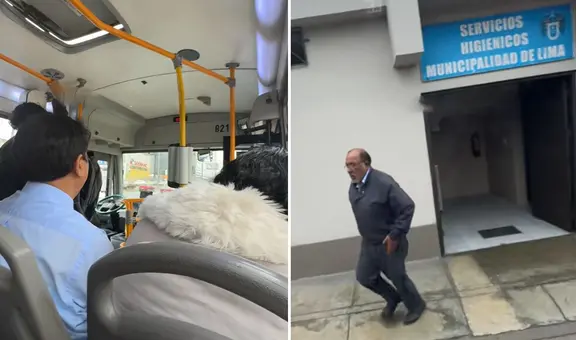 Chofer dejó bus para ir al baño y pasajero peruano lo critica: “Como él no tiene examen”