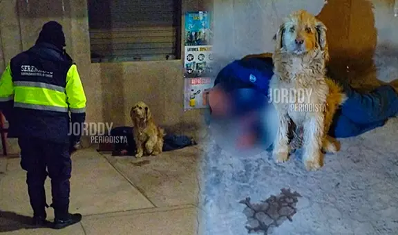 Perrito conmueve al no separarse de su dueño que dormía en una calle de Cusco, pese al intenso frío: “El verdadero amigo fiel”