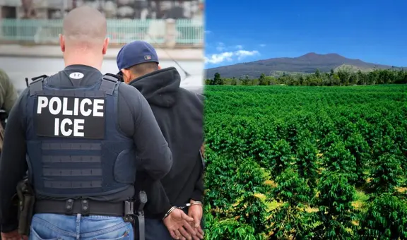 Nuevo objetivo para las redadas de inmigración en EEUU: ICE está arrestando a trabajadores del sector agrícola de este estado