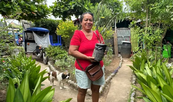 “Ecocanje”: Pucallpa impulsa el reciclaje con intercambio de residuos por plantas y abono