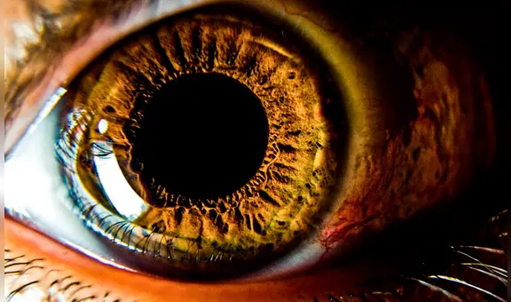 Estudio científico plantea el uso de nanopartículas de oro para restaurar la vista mediante "una nueva prótesis de retina"