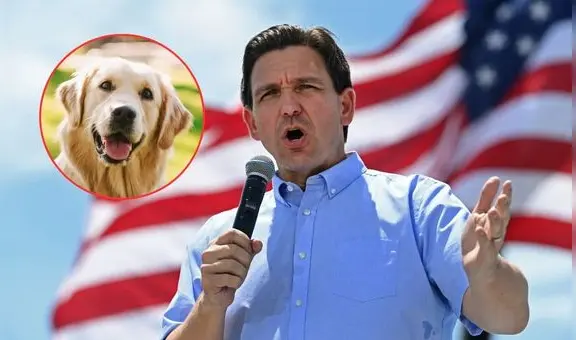 Ron DeSantis a favor de la protección animal en Florida: ¿conoces la Ley Trooper y Ley Dexter?