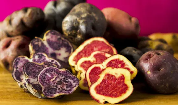 Perú celebra el Día Nacional de la Papa 2025 el 30 de mayo: historia, origen y curiosidades del tubérculo más emblemático del país