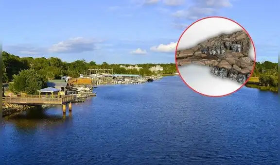 Buzos encontraron un fósil de 500.000 años, que pertenecería a la Edad de Hielo, en un sumidero de Florida