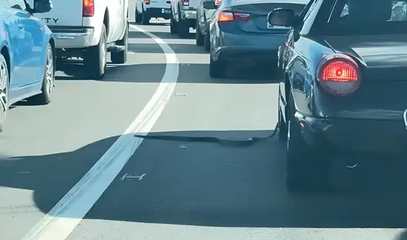 De terror: enorme serpiente se mete en un carro durante tráfico en autopista de EEUU
