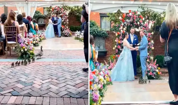 Familia de patos interrumpe boda justo cuando los novios iban a darse el “sí”: “Disculpen la demora”