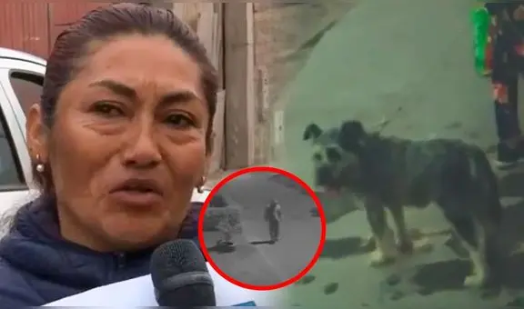 Hombre asesina a 13 perritos tras darles veneno en comida en VES y vecinos exigen justicia: "No sé quién puede ser tan inhumano"