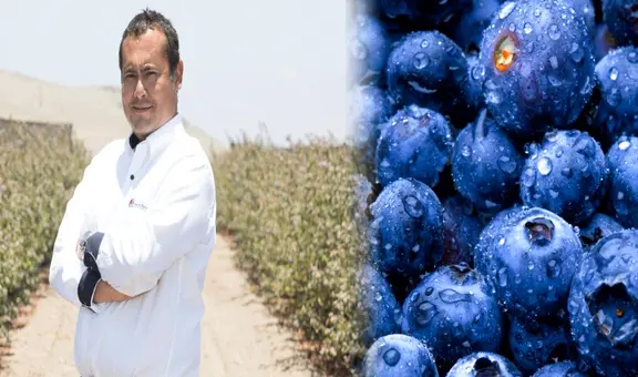 El ingeniero peruano que convirtió al Perú en el mayor productor de arándanos del mundo: solo invirtió S/1.000