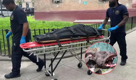 Bebé muere atacada por el perro de la familia mientras dormía con sus padres en Nueva York