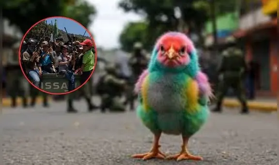 ¿Qué son los "pollitos de colores" en el narcotráfico? Cárteles de México los buscan cada vez más jóvenes