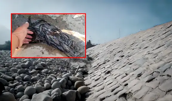 Ica: millones de larvas de camarón mueren ante sequía en el río Pisco