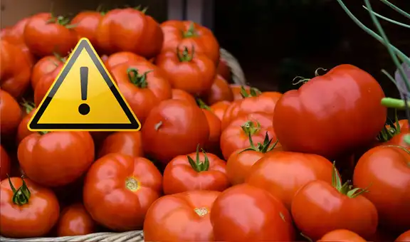 FDA lanza alerta urgente por tomates contaminados que podrían causar enfermedad o muerte en EEUU