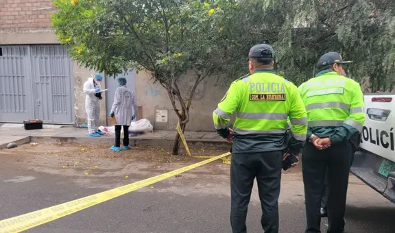 Violento crimen en San Juan de Lurigancho: hombre es acribillado en plena vía pública