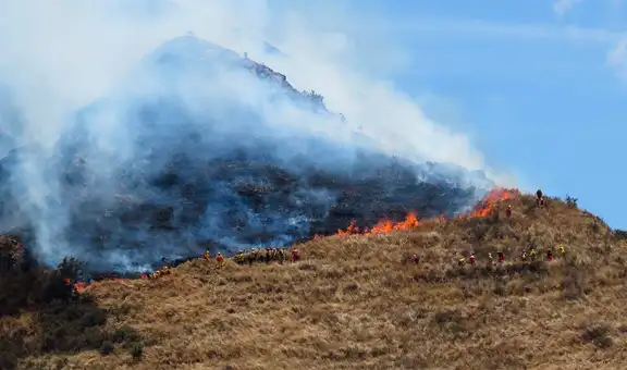 Cusco perdió más de 111 mil hectáreas de bosque en los últimos años