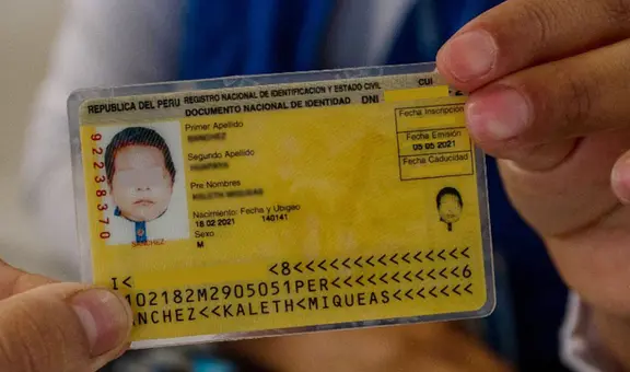 ¿Cómo ver online el DNI amarillo de mi hijo si se perdió y cómo generar su duplicado?