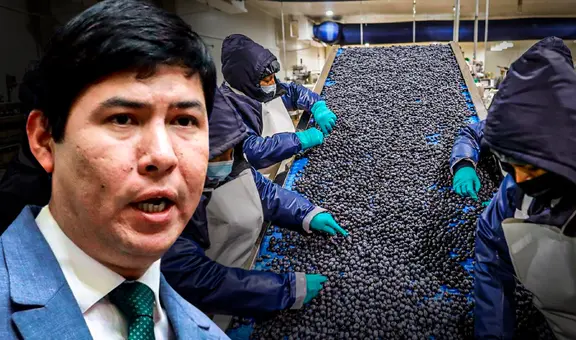 Congreso aprueba Ley Chlimper 2.0 con beneficios tributarios para grandes agroexportadoras