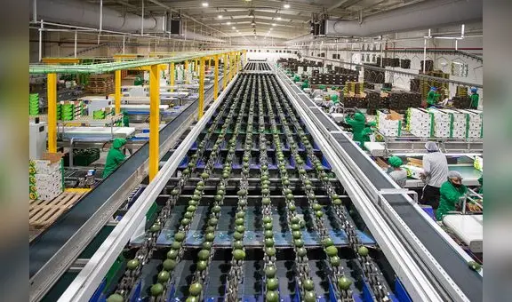 Ley Chlimper 2.0: Camposol, Beta, Danper y qué otras grandes agroexportadoras se perfilan con la reducción de impuestos por 10 años