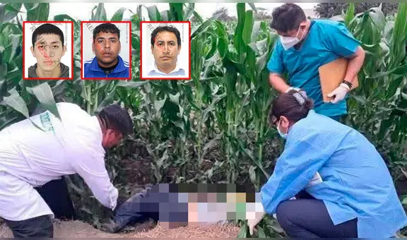 Crímenes no paran: cinco homicidios en las últimas 24 horas en el país