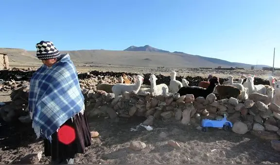 Heladas azotan Puno: Senamhi alerta sobre próximas temperaturas de congelamiento de hasta menos 20 grados