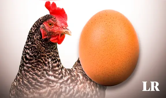 Los científicos por fin tienen la respuesta a la eterna pregunta: “¿Qué fue primero, el huevo o la gallina?"