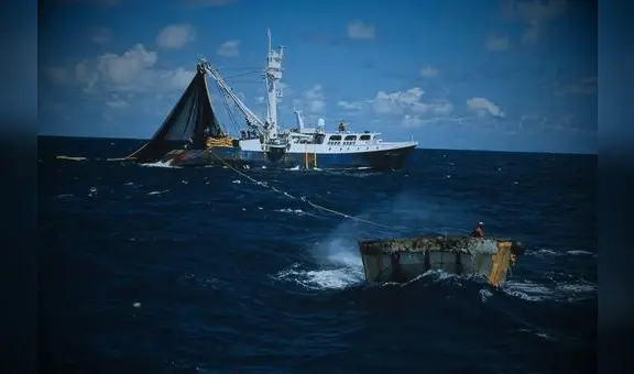 Tratado de Alta Mar agita a empresarios, pero no afecta soberanía del Perú