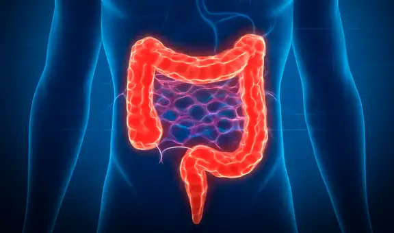 Experto de Harvard dice que este alimento es el mejor aliado natural para prevenir el cáncer de colon: es rico en probióticos