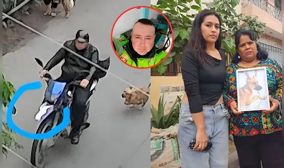 Policía en retiro habría envenenado a una decena de perros en VMT: "Todo está en las cámaras"