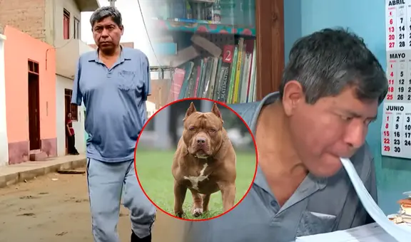 Peruano perdió los dos brazos y estuvo un mes en coma tras brutal ataque de 3 pitbulls: dueños no se hacen responsables