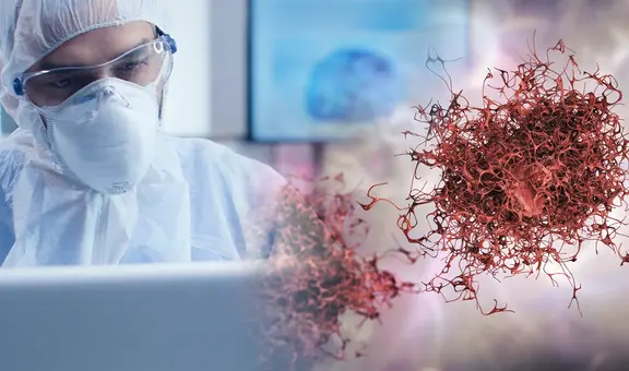 Descubren un nuevo tratamiento que podría frenar el crecimiento de tumores en pacientes con cáncer, según estudio científico